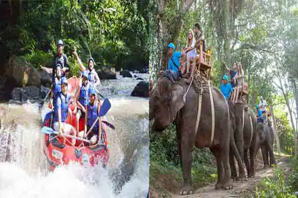 rafting elephant ride our